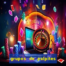 grupos de palpites de futebol whatsapp